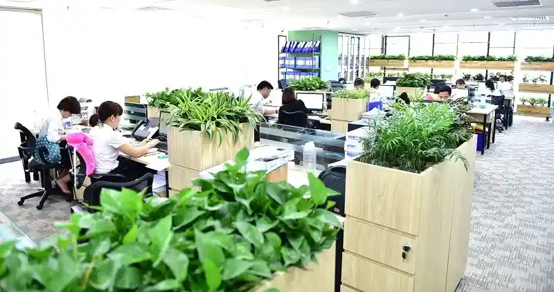 Văn phòng Hẹn Hò Tối Nay